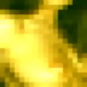 Agnes (44 ans) à Agen propose une rencontre aujourd'hui