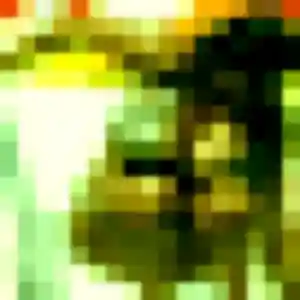 Photo perso de Camille, 25 ans à Aire-sur-l'Adour - rencontre sans lendemain