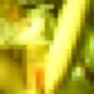 rencontre coquine à Airvault : profil de Wahiba, 35 ans - accès libre