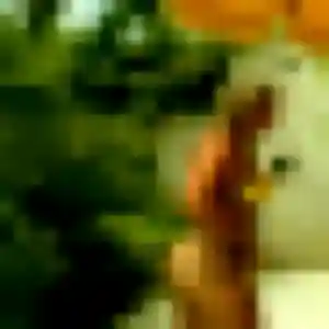 Photo perso de Lise, 28 ans à Albias - rencontre coquine
