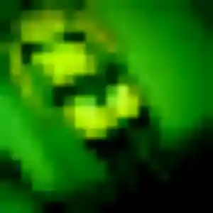 Ameline, femme de 38 ans cherche rencontre coquine à Angoulins