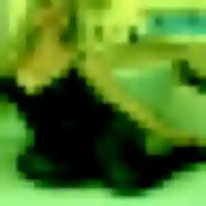 Photo exclusive de Wendy, 26 ans à Arcangues - plan discret