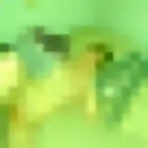 Photo sexy de Verane, 23 ans à Bassillac et Auberoche - rencontre coquine