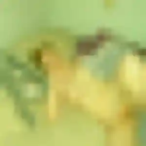 Photo de Emma à Bernis (44 ans) - rencontre coquine gratuit