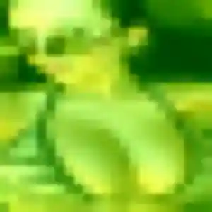 Jennifer (45 ans) à Bizanos attend une rencontre maintenant