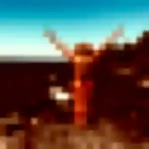 Kenza de Boé, 34 ans - rencontre coquine sans lendemain