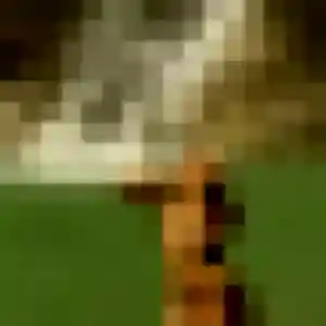 Iris, 32 ans, veut un rencontre coquine à Bon-Encontre