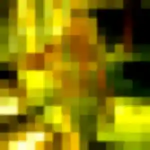 Rencontre Phoebe, 24 ans à Cadaujac en privé