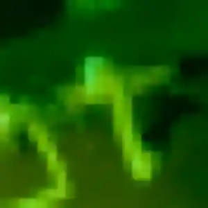 Belle Roxane, 19 ans à Castelnau-de-Médoc - découvrir son profil