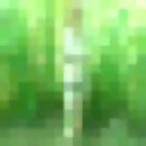 Flavie de Celles-sur-Belle, 30 ans - rencontre coquine sans lendemain