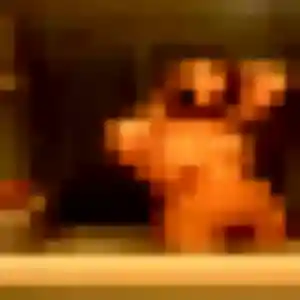 Photo perso de Cassandre, 35 ans à Champcevinel - rencontre coquine