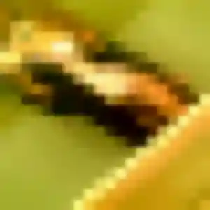 Leila de Châtelaillon-Plage, 34 ans - rencontre coquine sans lendemain