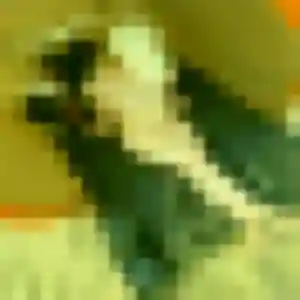 Wahiba, 43 ans, disponible à Châtellerault pour un rencontre coquine