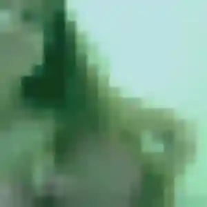 Photo de Nelly à Dompierre-sur-Mer (40 ans) - rencontre coquine discret