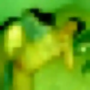Lina (34 ans) à Espira-de-l'Agly attend un rencontre coquine rapidement