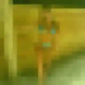 Ornella, 38 ans, veut un rencontre coquine à Fenouillet
