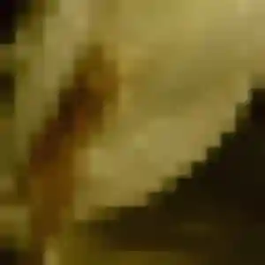 Alessandra, 44 ans, en ligne à Gignac pour une rencontre coquine
