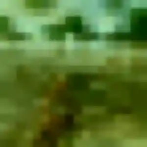Profil de Meriem à Grenade (39 ans) - rencontre coquine gratuit