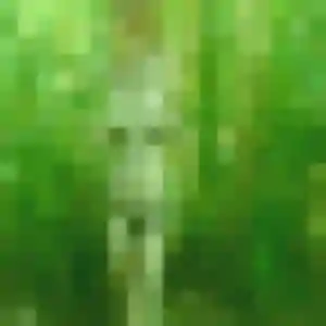 Sylviane, femme de 40 ans cherche rencontre coquine à Hasparren