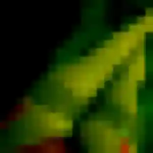 Siham, 32 ans, cherche un rencontre coquine à Hendaye