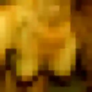 Jolie Elise, 39 ans à Jarnac - la contacter