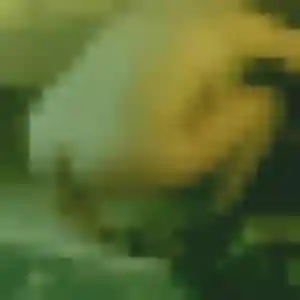 Brunehilde, 28 ans, disponible à Jaunay-Marigny pour une rencontre coquine