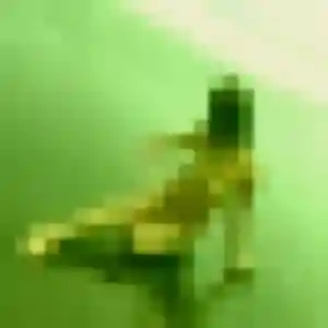 Bertrane, femme de 43 ans cherche rencontre coquine à La Roche-Chalais