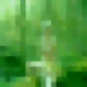 Photo exclusive de Jacqueline, 25 ans à La Rochefoucauld-en-Angoumois - plan discret