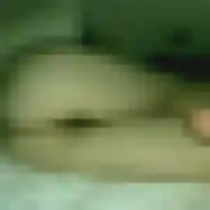 rencontre coquine à Lacanau : profil de Mylene, 27 ans - inscription gratuite