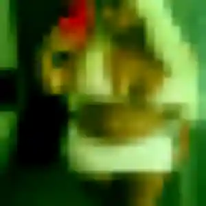 Photo sexy de Adeline, 19 ans à Lagord - rencontre coquine