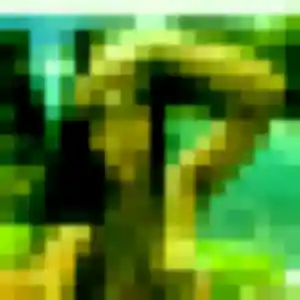 Jolie Leana, 40 ans à Le Bouscat - voir sa photo