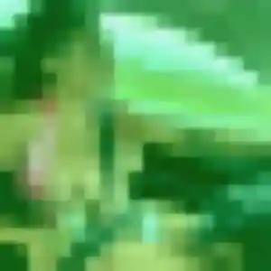 Photo privée de Florence, 37 ans à Le Passage - plan discret