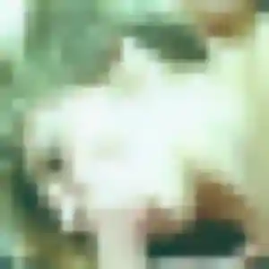 Olga, 23 ans, connectée à Le Pian-Médoc pour une rencontre coquine