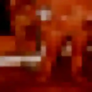 Marine, fille de 29 ans veut rencontre coquine à Le Taillan-Médoc