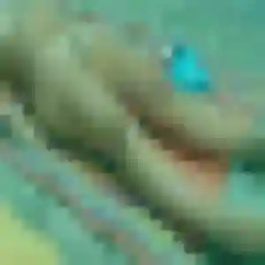 Lucienne (43 ans) à Le Teich attend une rencontre aujourd'hui