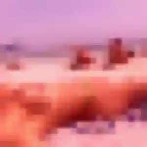 Eglantine (43 ans) à Limoges attend une rencontre ce soir