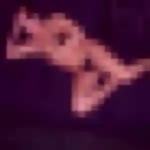 Soraya, 37 ans, disponible à Marans pour une rencontre coquine