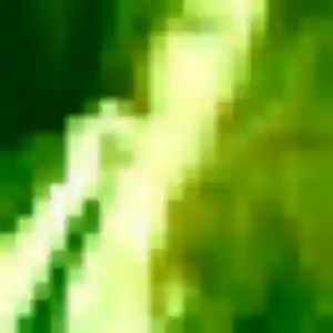 Brigitte (24 ans) à Marmande propose une rencontre maintenant