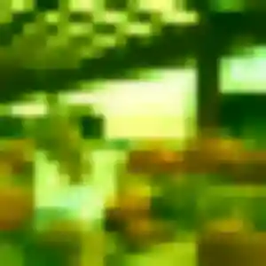 Profil de Pascale à Marsilly (22 ans) - rencontre coquine anonyme