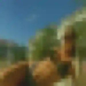 Sexy Marilou, 31 ans à Marssac-sur-Tarn - voir sa photo