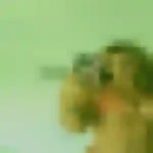 Ketty (26 ans) à Médis propose un rencontre coquine ce soir