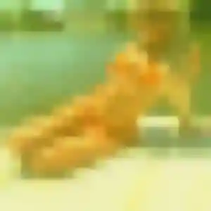 Louisa, femme de 23 ans cherche rencontre coquine à Montferrier-sur-Lez