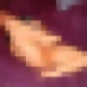 Jolie Marie-Helene, 21 ans à Montmorillon - découvrir son profil