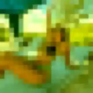 Mila (37 ans) à Mourenx propose un rencontre coquine aujourd'hui