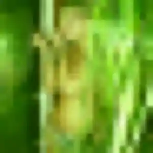 Rencontre Ameline, 27 ans à Narrosse en t'inscrivant