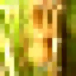 Contacte Marie-Helene, 27 ans à Nay en privé