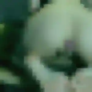 Chiara, 19 ans, connectée à Plaisance-du-Touch pour une rencontre coquine