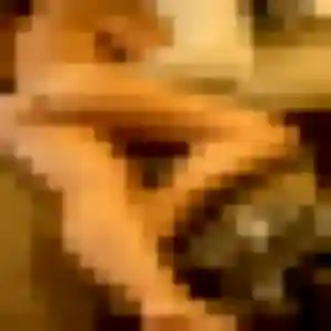 Photo privée de Agnes, 20 ans à Prades - plan discret