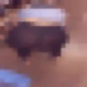 Rejoins Odette, 43 ans à Prigonrieux en privé
