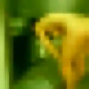 Xaviere, femme de 25 ans cherche rencontre coquine à Roullet-Saint-Estèphe